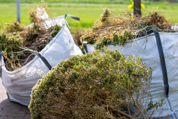 Best Yard Waste Removal  in Pojoaque, NM